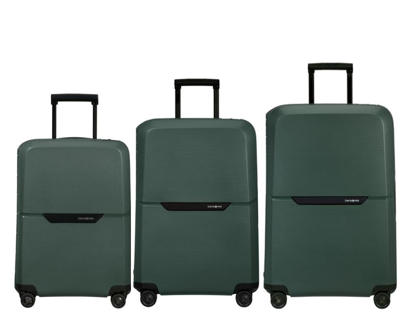 Go places luggage online