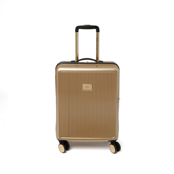 Dune London Olive Vanity and 55cm Cabin Case Set